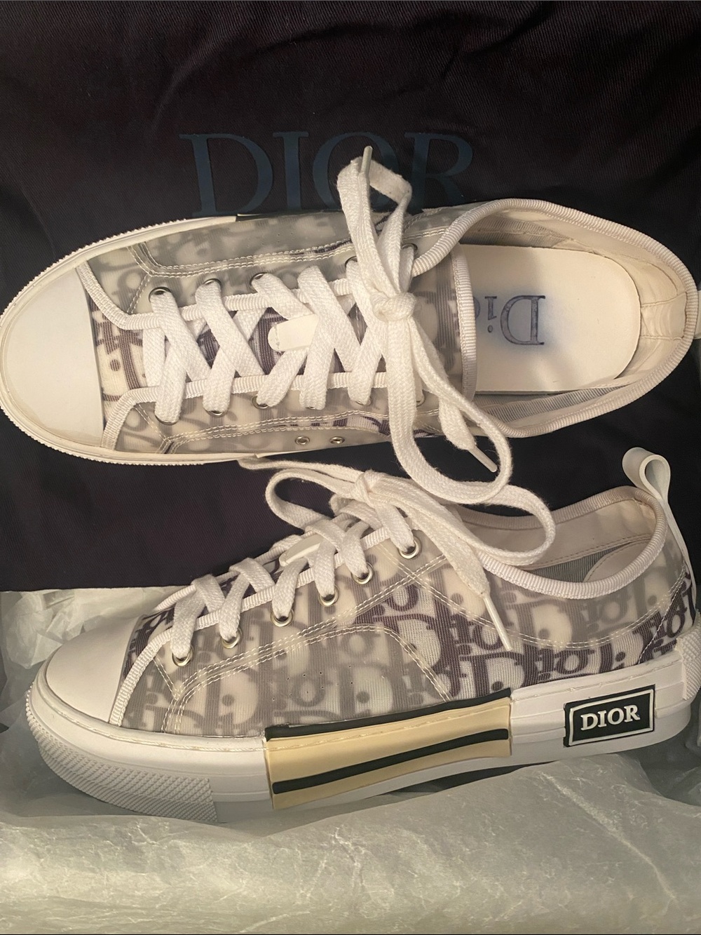 Dior Transparent Logo Low-Top Sneakers in White with Gold Accent